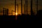 Railway pointwork, railway tracks on the station at summer sunset.