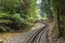 Railway in the rain forest