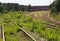 Railway siding, overgrown with grass. shunting electric locomotive and coupling of goods wagons on different tracks of railway