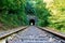 a railway in the spring forest. Tunnel of rails, trees and the railroad