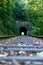 a railway in the spring forest. Tunnel of rails, trees and the railroad