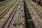 Railway station with wagons with felled forest.. Transportation