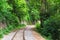 Railway track curve in verdant rainforest