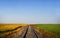 Railway track dividing green and gold crops