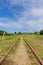Railway Track through farmland in Fiji