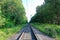 Railway track laid through the dense forest