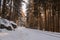 Railway track leading through winter forest landscape, Harz Mountains National Park, Germany