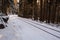 Railway track leading through winter forest landscape, Harz Mountains National Park, Germany