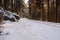 Railway track leading through winter forest landscape, Harz Mountains National Park, Germany