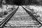 Railway tracks in black and white. Perspective view