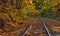 Railway tracks with fall foliage