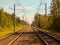 Railway tracks in the forest on a sunny summer day