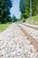 Railway tracks in the middle of the forest