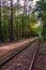 Railway tracks view. Railway rails and embankment surrounded by forest.