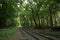 Railway tracks winding through a lush, green forest.