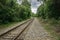 Railway Tracks Through the Woods