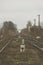 Railway traffic light with a blue standard signal. Semaphore on railroad crossing on a blurred background. Infrastructure Old