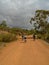 Railway Trail in John Forrest National Park