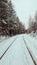 Railway in a winter wood