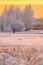 Railway worker on the background of winter forest in Central Russia.