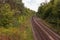 Railways leading through a German forest