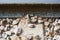 Railways lines, rusty iron, stones in Treviso, in Veneto, Italy, Europe