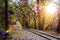 Railways trains pass through a tunnel in the forest. Railways in the forest