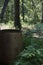 Rain barrel with forest background