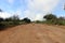 Rain in caatinga - wet clay road after heavy rains