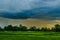 Rain cloud over forest