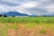 Rain Clouds and Agricultural Farm Land