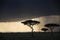 Rain clouds gather at sunset in Tanzania, Africa