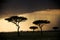 Rain clouds gather at sunset in Tanzania, Africa
