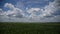 Rain clouds on the horizon over a large soy plantation