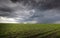 Rain coming over a soybean crop in spring