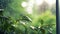 rain covered window with foliage, natural light abstract and soft focus