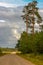 before the rain, dirt road through a pine forest