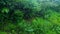 Rain droplets on glass outside is the green forest, monsoon background theme