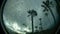 Rain Drops and Palms 1 SWAMIS Beach Encinitas California