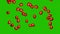 Rain of Easter red eggs on a chroma key background. Video effect for Easter. Video for Easter.