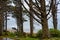 Rain falls at Lookout Beach on the Oregon Coast