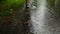 Rain. Female legs close-up go through the puddles.Drops and splashes. Rainy weather concept.Raindrops on asphalt and