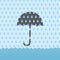 Rain Flood Umbrellav