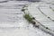 Rain Flooding Bicycle Path At Amsterdam The Netherlands 27-6-2020