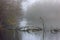 Rain and Fog at Bays Mountain Park, Tennessee