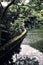 Rain Forest With Lake Creque Dam in St. Croix US Virgin Islands 