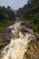 Rain forest landscape, Ranomafana, Madagascar