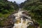 Rain forest landscape, Ranomafana, Madagascar