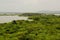 Rain forest mirrored in waters, on Rio Negro in the Amazon River basin, Brazil, South America