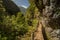 Rain forest path into mountains valley